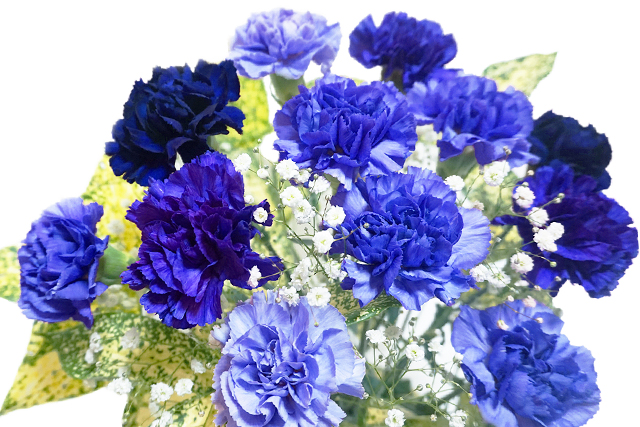 結婚相談所Twelblueについて